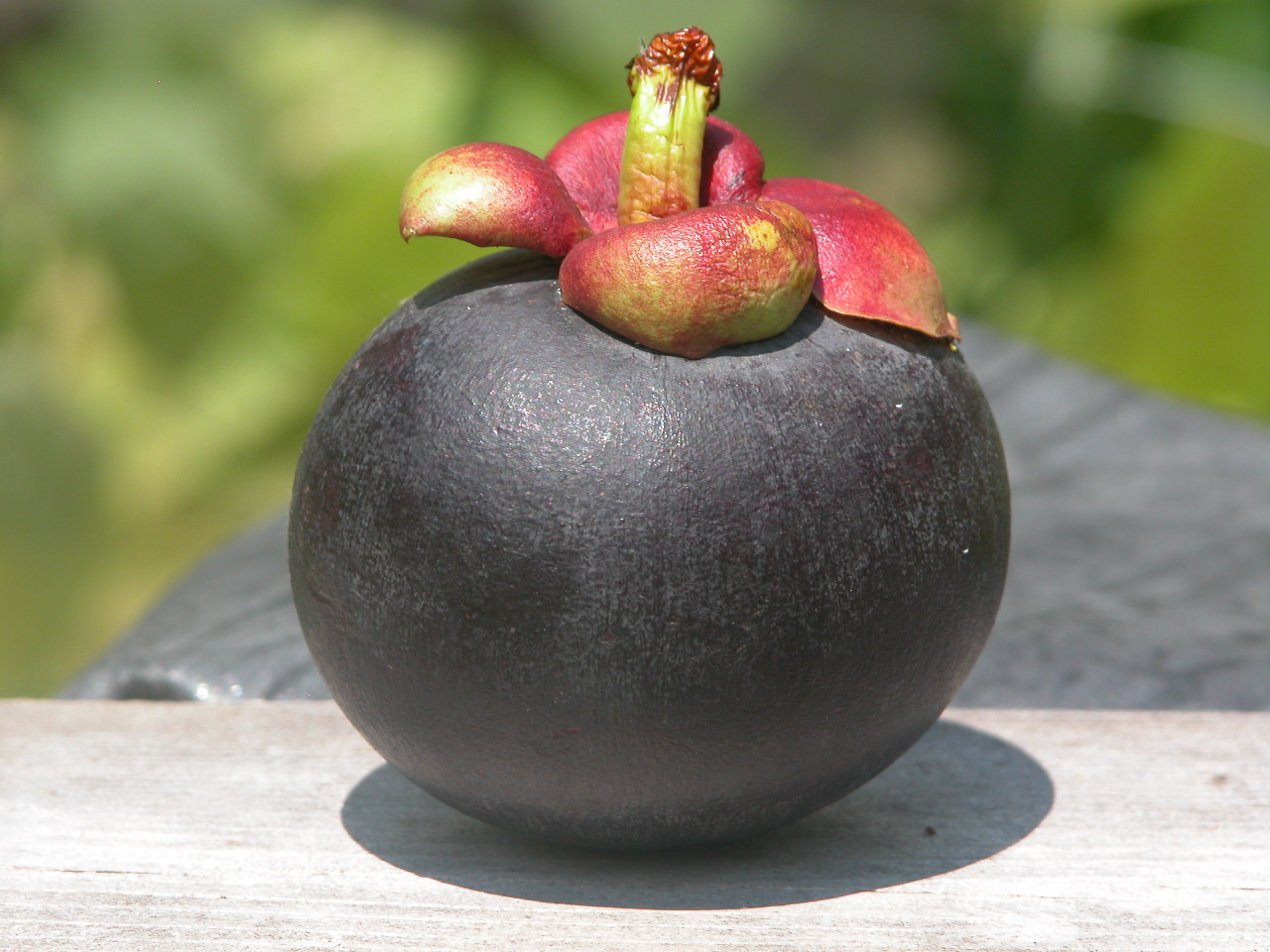 Ripe mangosteen